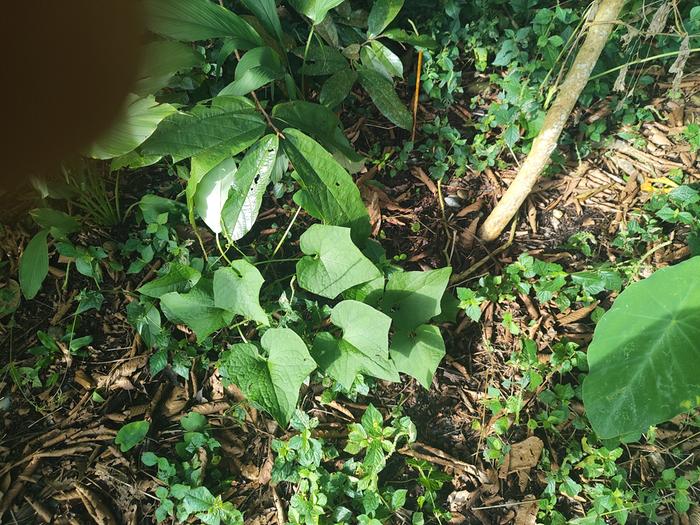 [Thumbnail for IMG_20260424_233652.jpg]