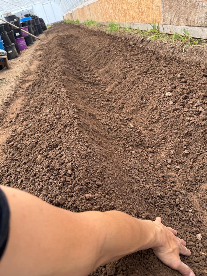 [Thumbnail for IMG_1114.jpeg]