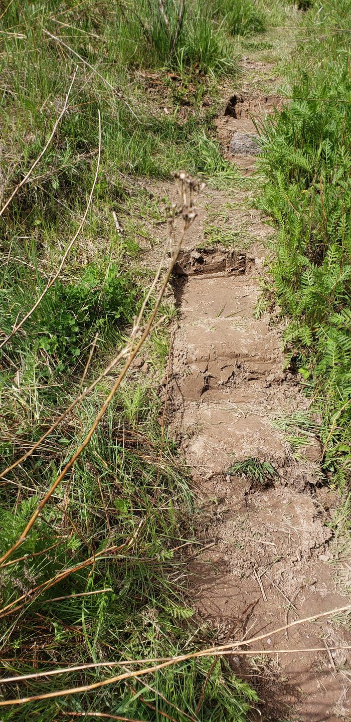 One of My Herman Munster Trail Steps for my Massive Boots...LOLZ