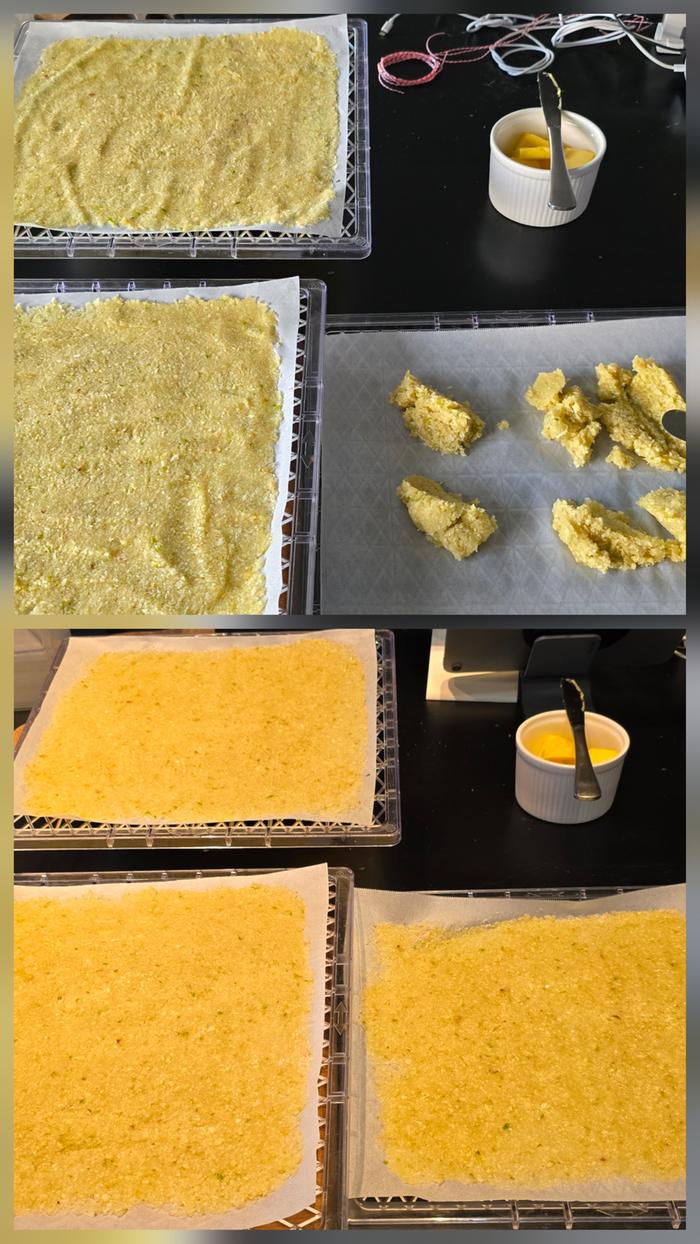 Garlic paste spread thinly on dehydrator trays