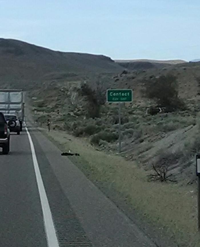 [Thumbnail for IMG_20140624_120014.jpg]