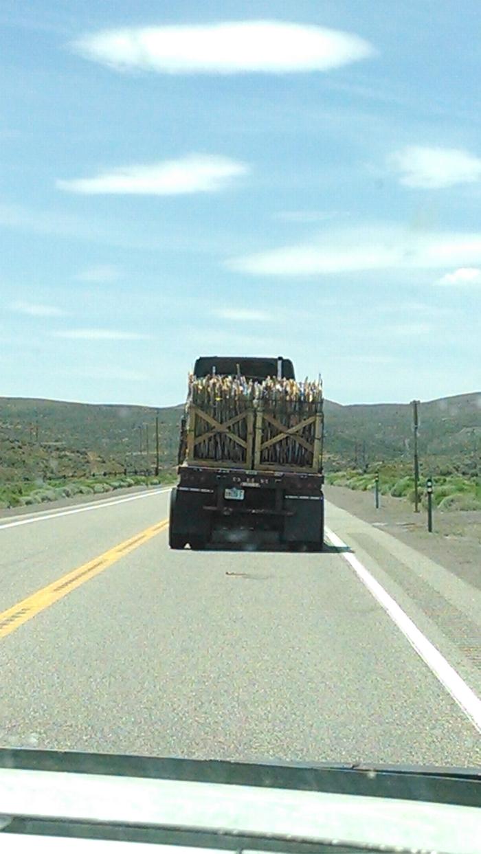 [Thumbnail for IMG_20140624_141320981.jpg]