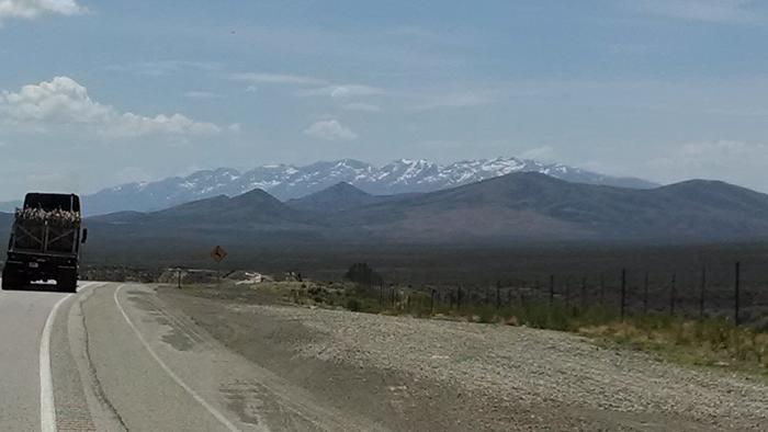 [Thumbnail for IMG_20140624_141702142.jpg]