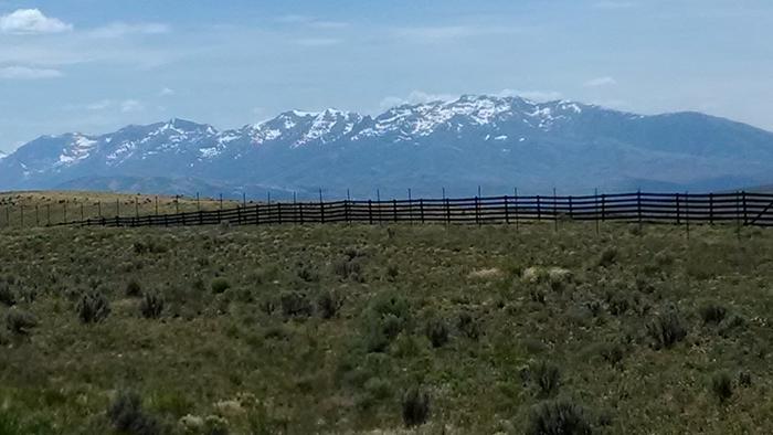 [Thumbnail for IMG_20140624_142558671.jpg]