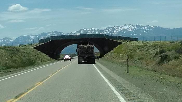 [Thumbnail for IMG_20140624_142644368.jpg]