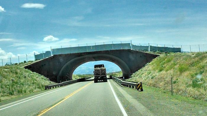 [Thumbnail for IMG_20140624_142649527_HDR.jpg]