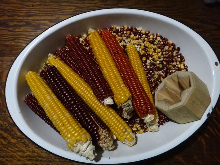 [Thumbnail for cascade-ruby-gold-flint-corn-with-corn-sheller-W.JPG]