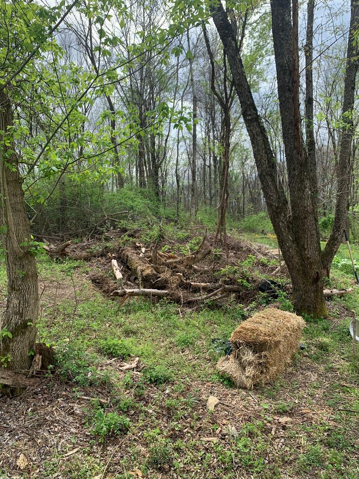 This is the pile of trees and brush. Also lots and lots of rock. 