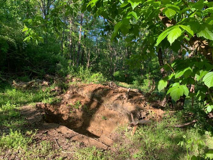 The west side. The mound is approximately 12 feet long. Height varies from 3-6 feet high depending on area. It is 6-7 feet wide. 