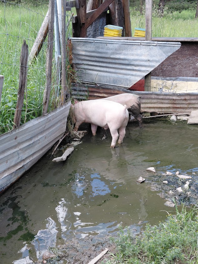 a nice drink before a relaxing soak...