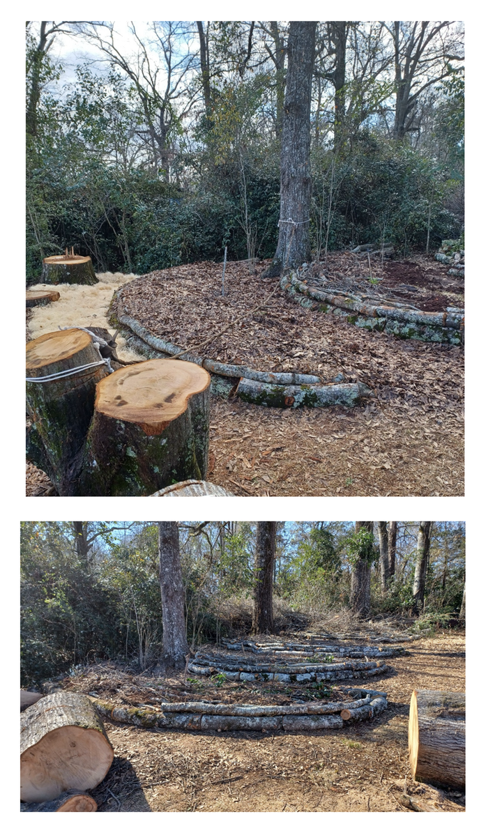 Terraces fashioned from mid-level oak trunks