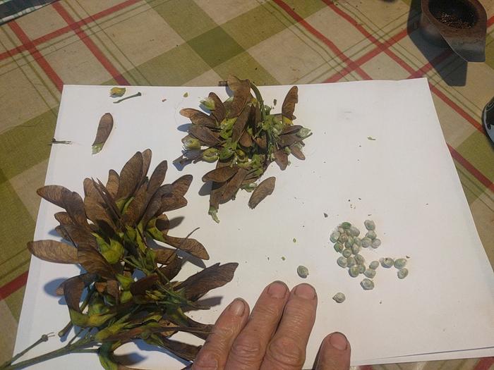 stripping out the kernels