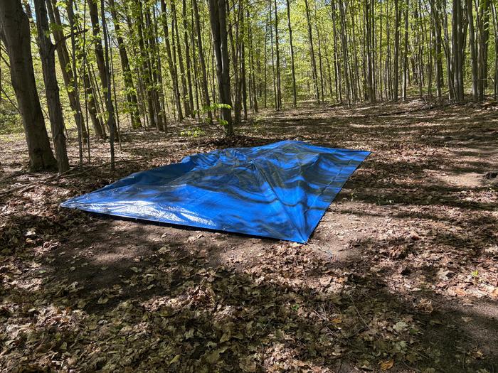 My lumber pile tarped over