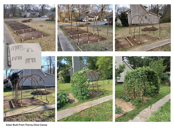 Step-by-step build from sketch to living arbor
