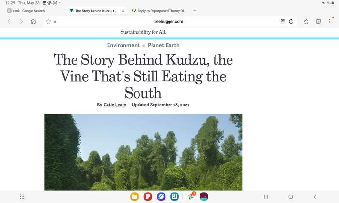 [Thumbnail for Screenshot_20260528_122952_Samsung-Browser.jpg]