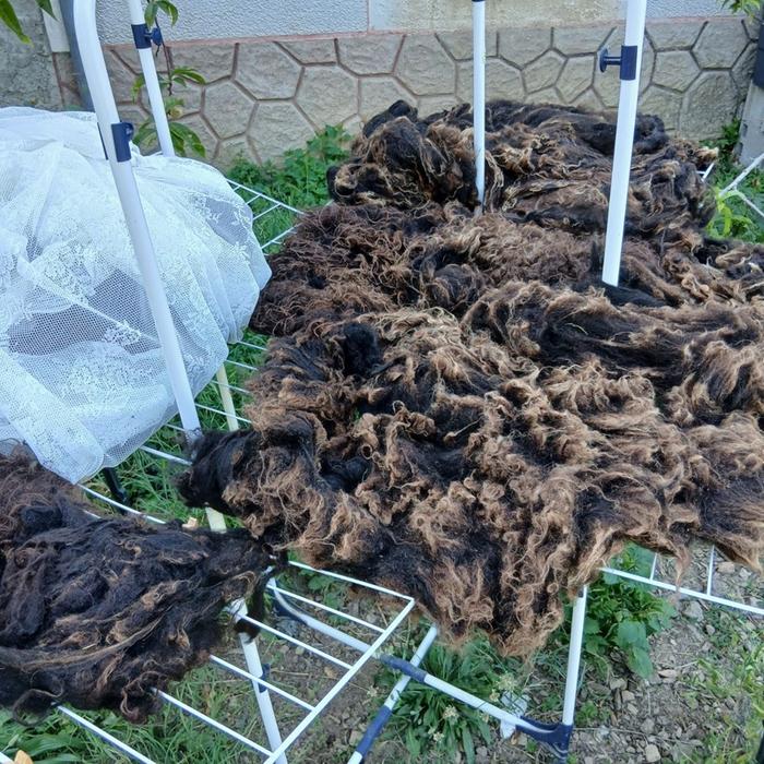 fleeces of mother and daughter