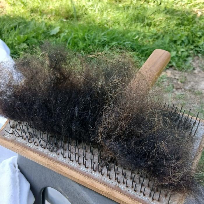 carding....
