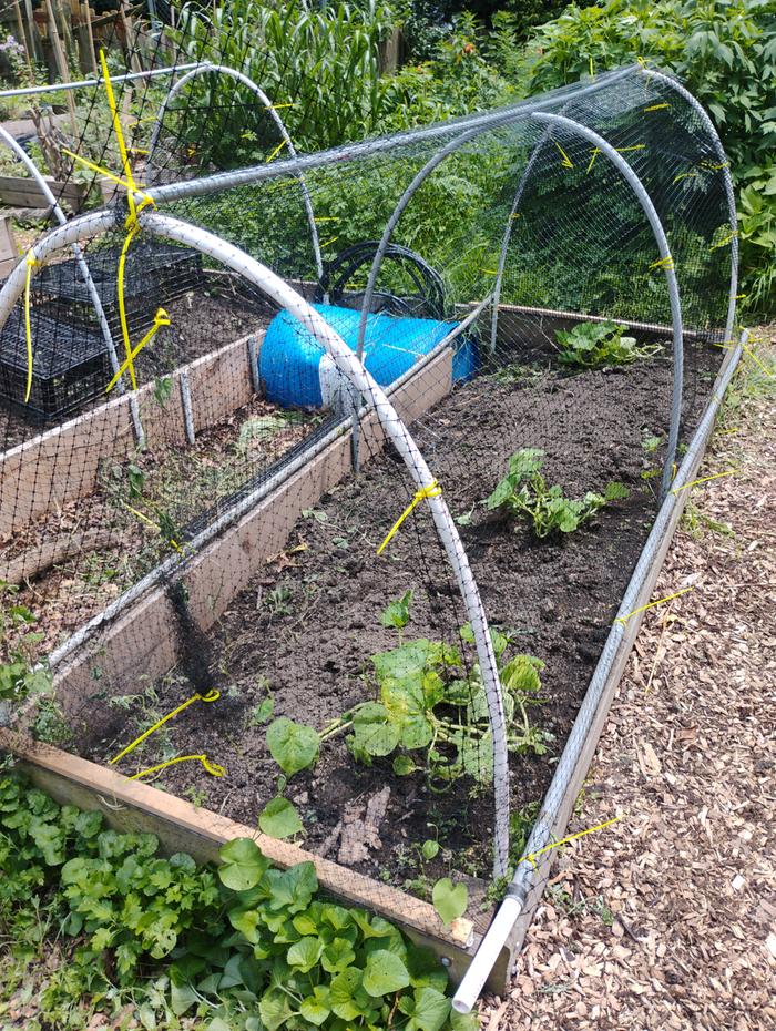 Naked bed needs mulch