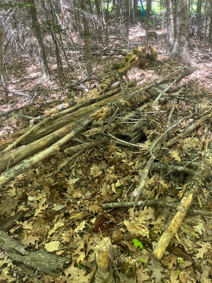 Well has been covered by sticks and pallets for safety
