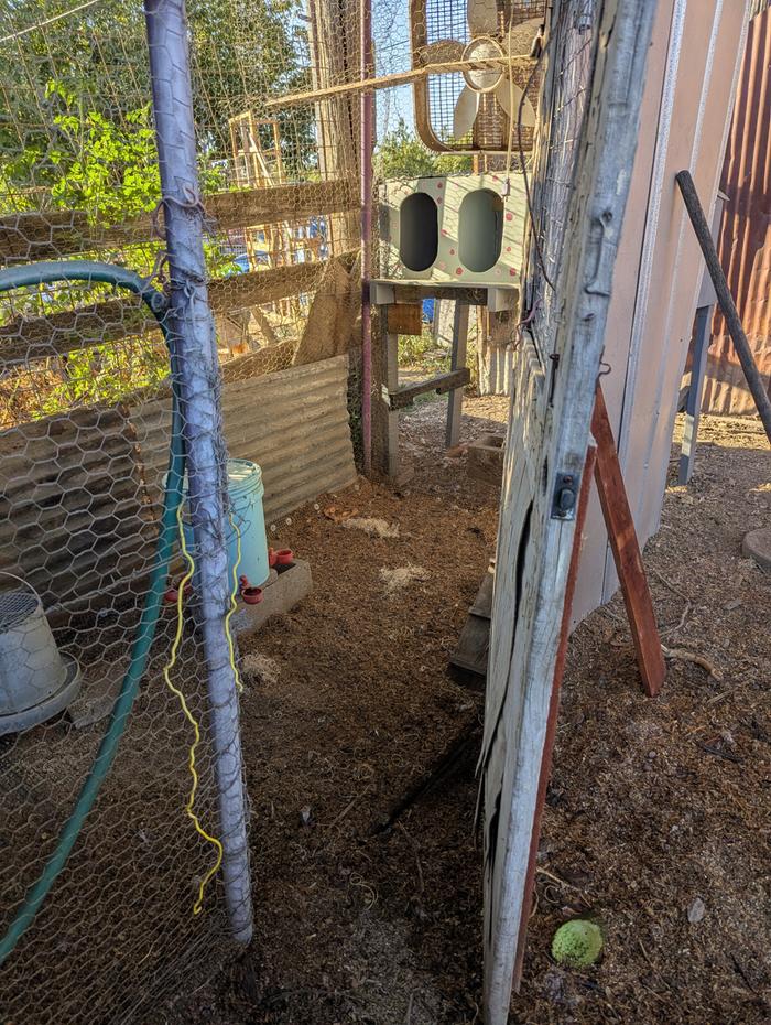 have to remove everything from the door to the coop 