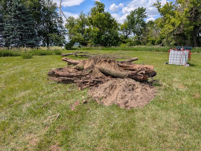 Logs and dirt