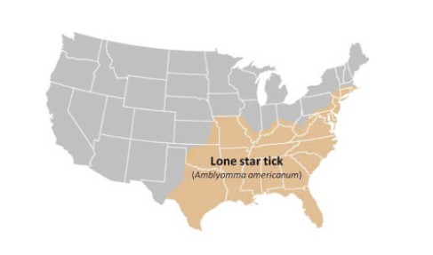 [Thumbnail for Tick-map.jpg]