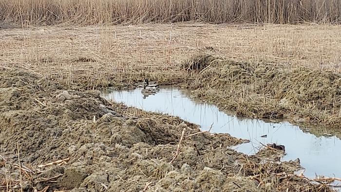 Water storing trench