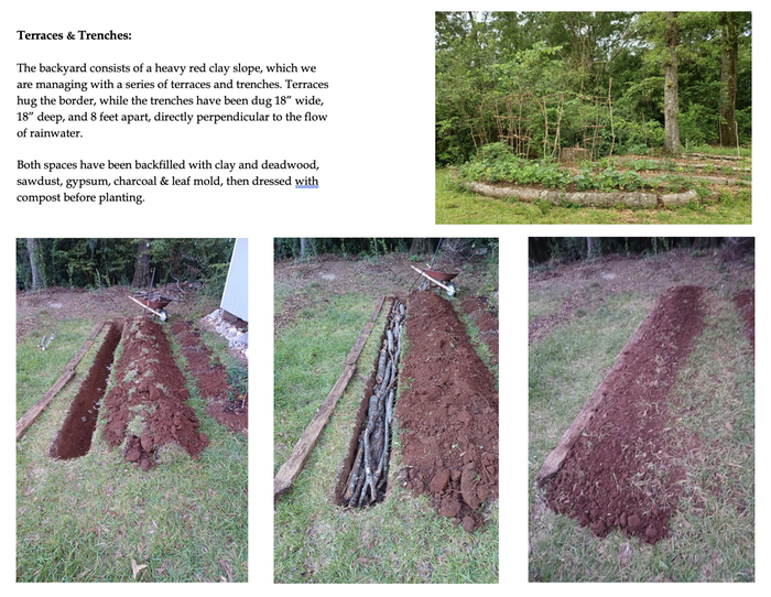 [Thumbnail for Terraces-Trenches.png]