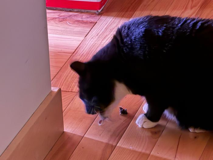 Chomp