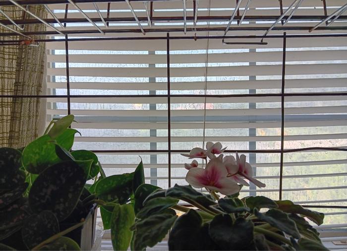 From inside