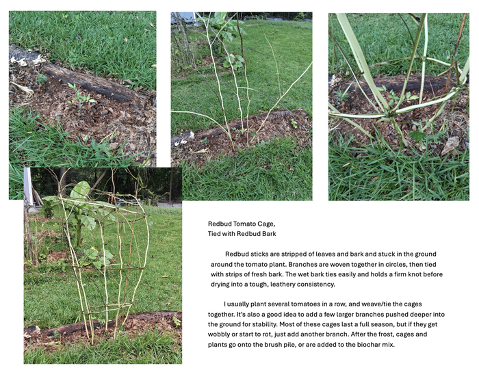 Push the cut saplings into the ground in a circle, each stick angling up and out. Wind the branches together in a cone shape, then tie them with twine or strips of bark.