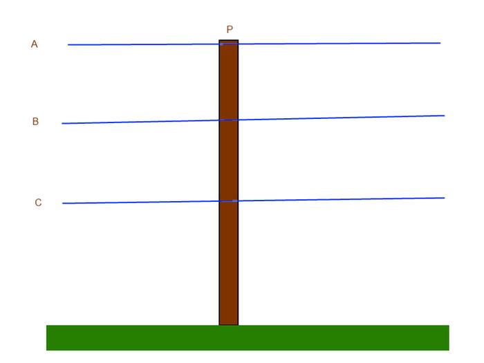 [Thumbnail for trellis.png]