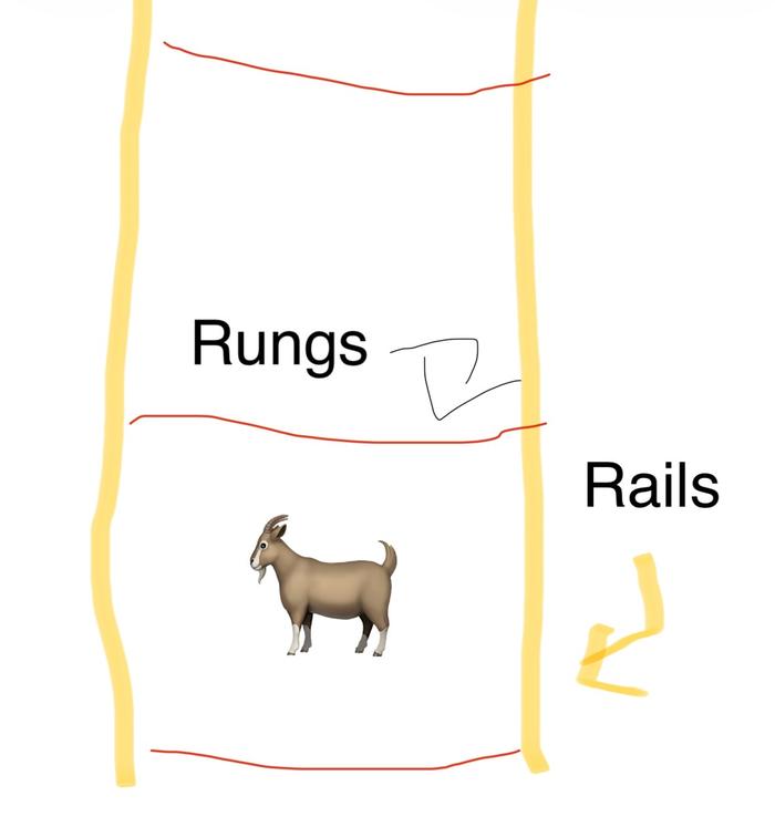 [Thumbnail for IMG_6195.jpeg]