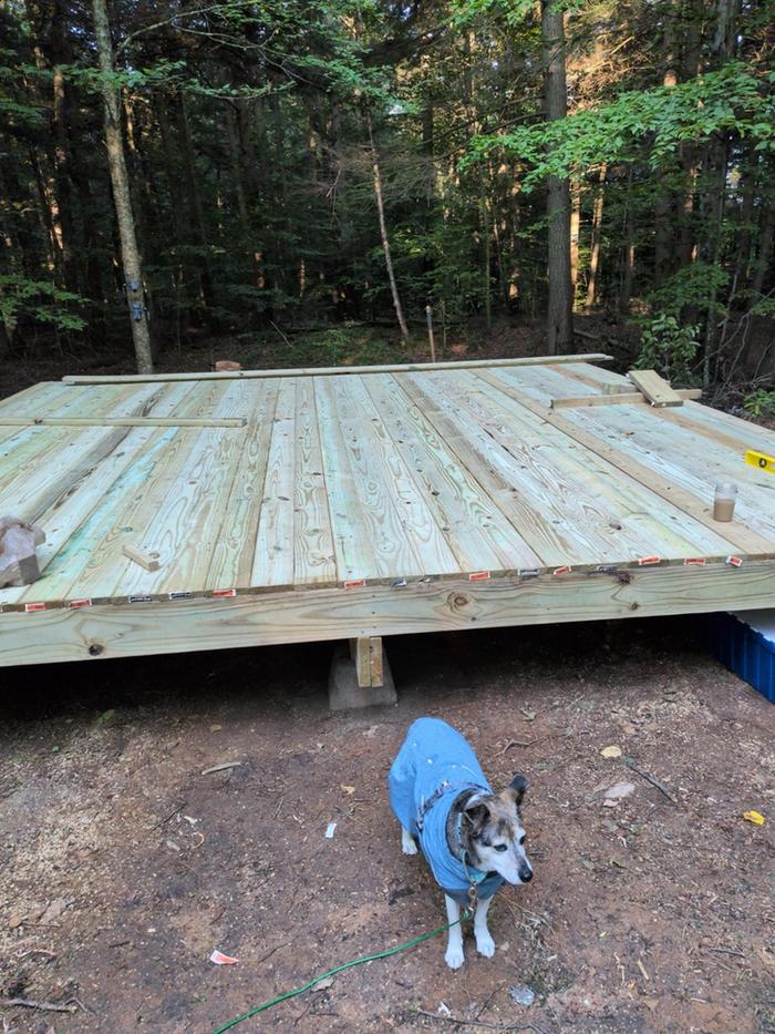 Abby with the deck