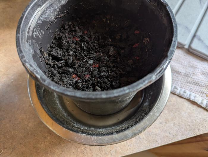 Water well - I like to use a drip pan so the soil can continue to drink and I don't have to rewater for awhile 