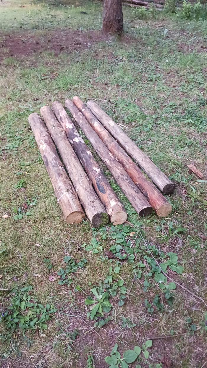some logs cut to length for a raft