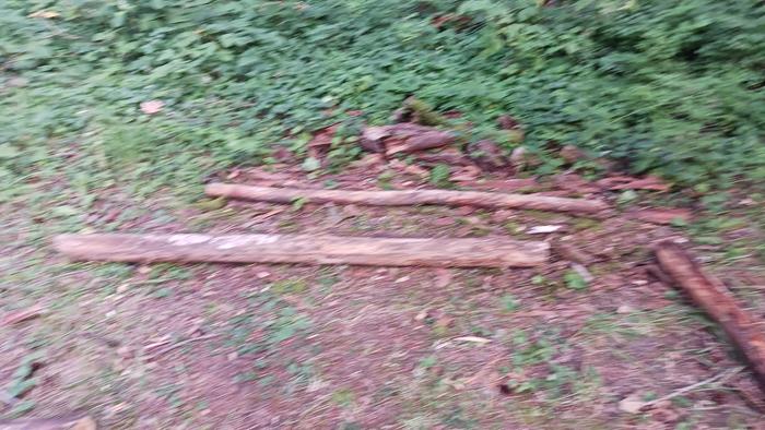 logs waiting to be debarked