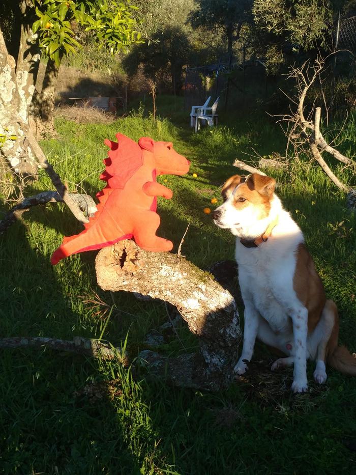 [Thumbnail for welsh-sheepdog-and-dragon.jpg]