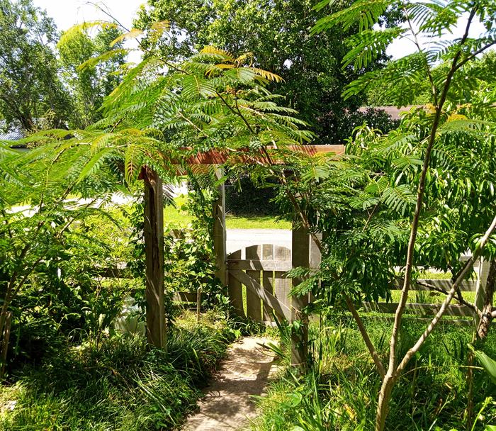 view from the porch