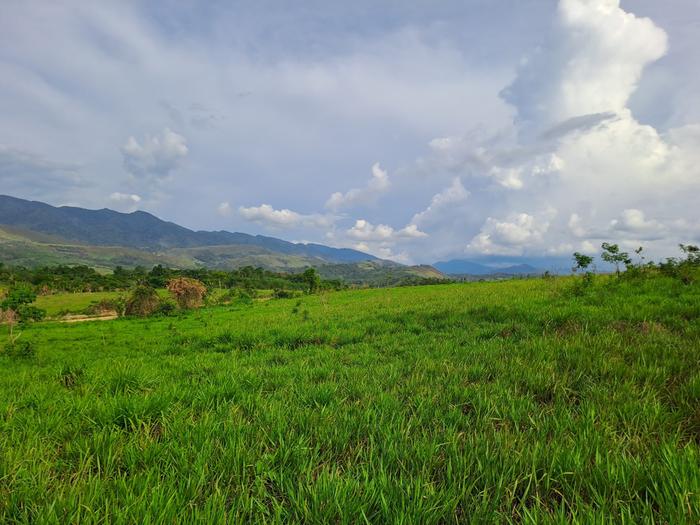 Land with mountain view