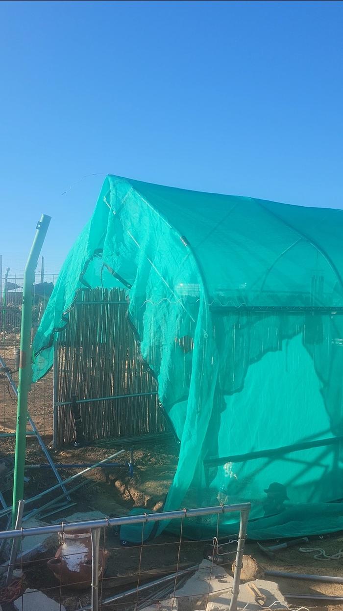 Last day before my greenhouse came down.... 😔 😭 