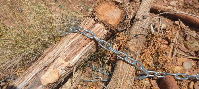 close up of chain holding log