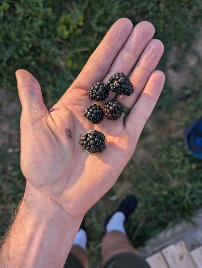 Size comparison two
