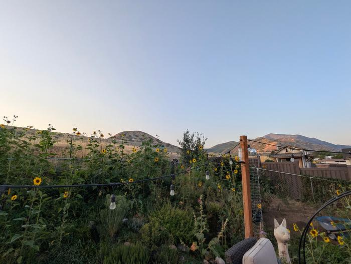 The view from my deck 
