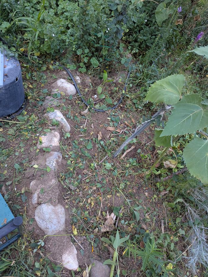 Area cleared, and ready to receive the chopped mulch 