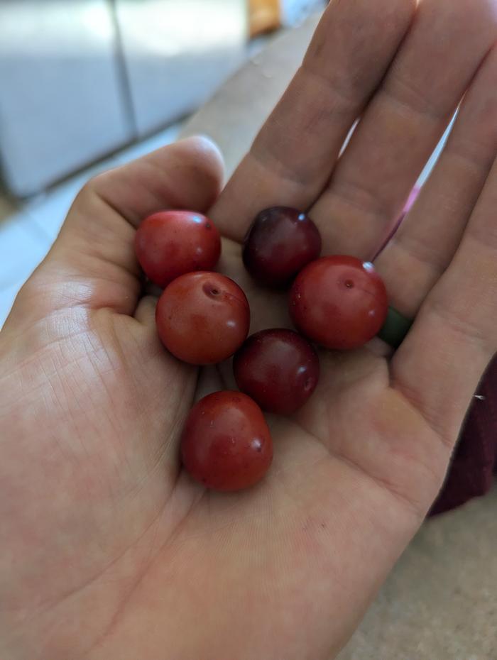 Mmmm