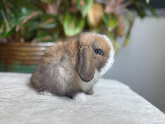 One of our new additions, isn't she adorable?
