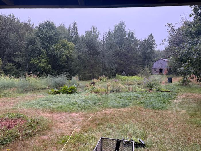 Rain!