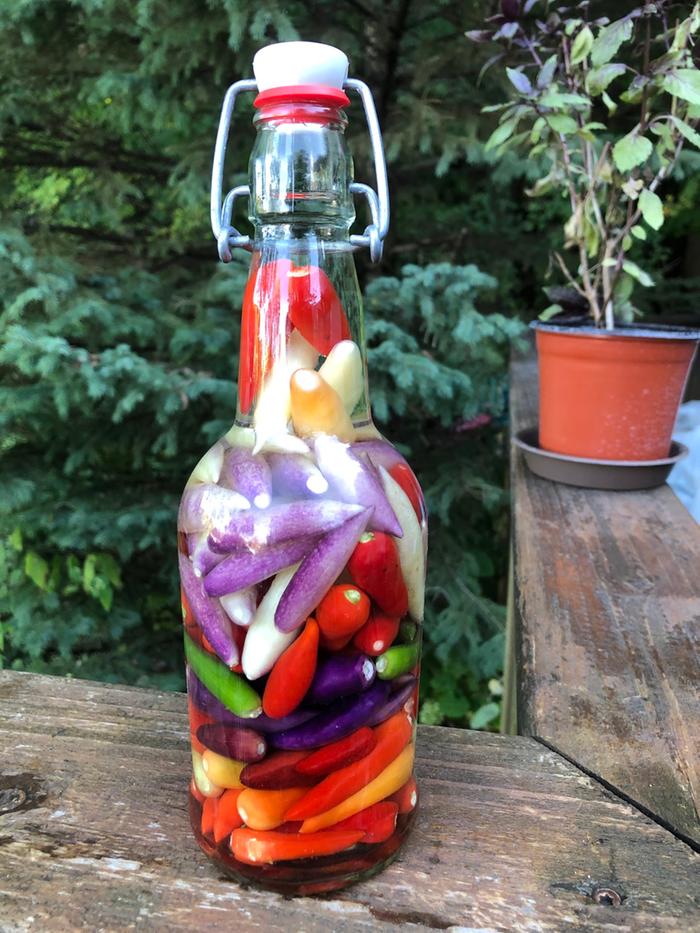 Preserving fresh bounty in vinegar.