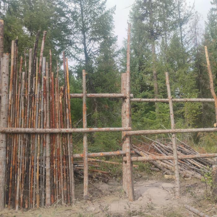 junk pole fence partly filled in. Keeps the deer and wild turkeys out
